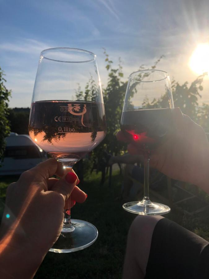 Aurum Apartment Kirchheim am Neckar Eksteriør billede